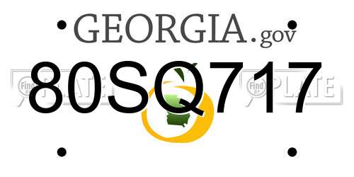 80SQ717 Georgia License Plate