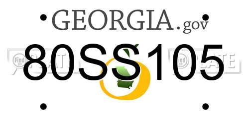 80SS105 Georgia License Plate