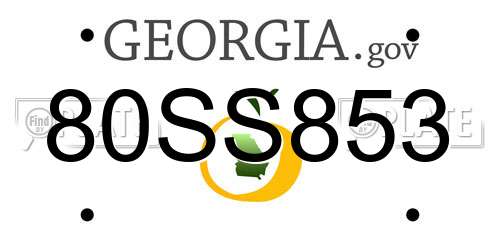 80SS853 Georgia License Plate