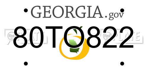 80TO822 Georgia License Plate