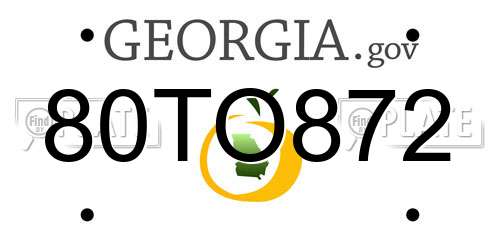 80TO872 Georgia License Plate