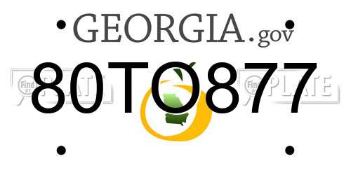 80TO877 Georgia License Plate