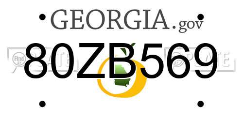 80ZB569 Georgia License Plate