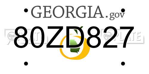 80ZD827 Georgia License Plate