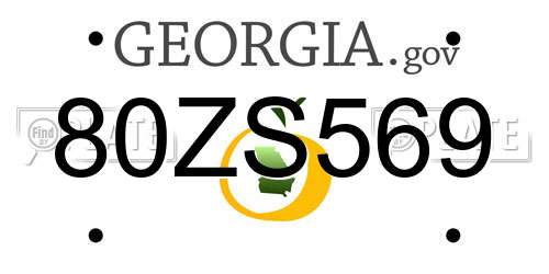 80ZS569 Georgia License Plate