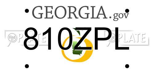 810ZPL Georgia License Plate