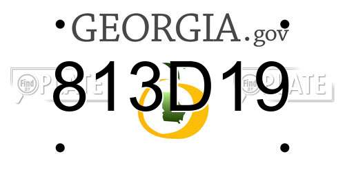 813D19 Georgia License Plate