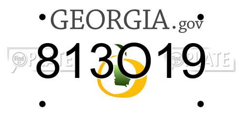 813O19 Georgia License Plate