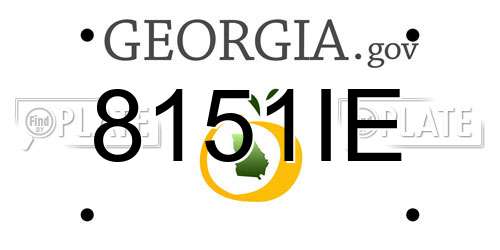 8151IE Georgia License Plate