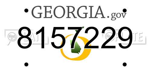 8157229 Georgia License Plate
