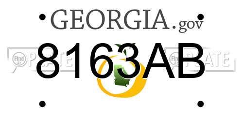 8163AB Georgia License Plate