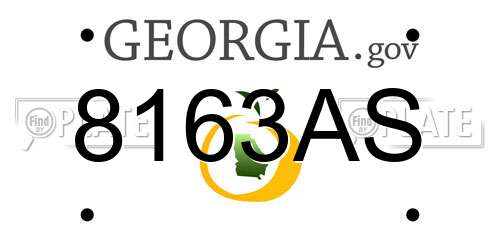 8163AS Georgia License Plate