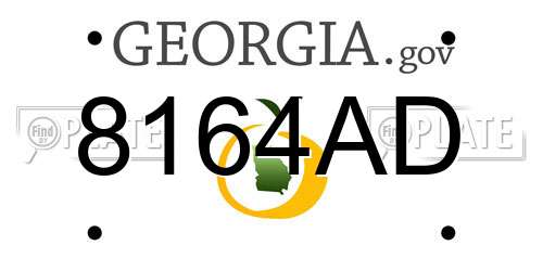 8164AD Georgia License Plate