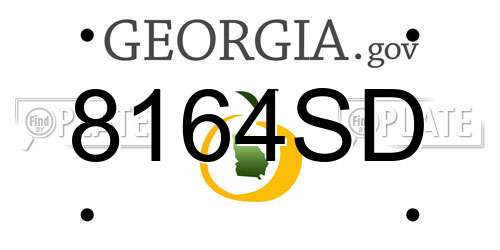8164SD Georgia License Plate
