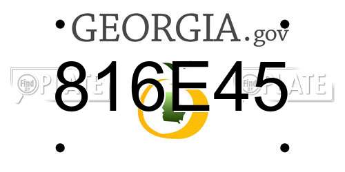 816E45 Georgia License Plate
