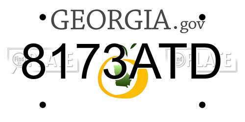 8173ATD Georgia License Plate