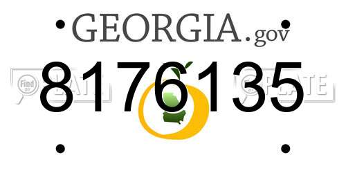 8176135 Georgia License Plate