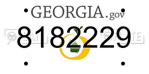 8182229 Georgia License Plate