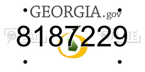 8187229 Georgia License Plate