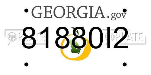 81880I2 Georgia License Plate