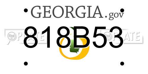 818B53 Georgia License Plate