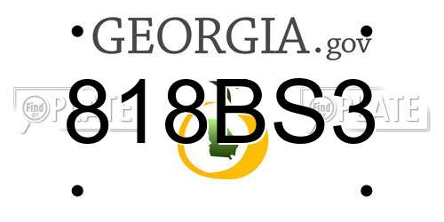 818BS3 Georgia License Plate