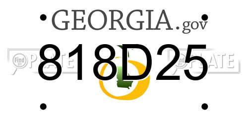818D25 Georgia License Plate