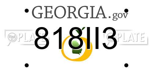 818II3 Georgia License Plate