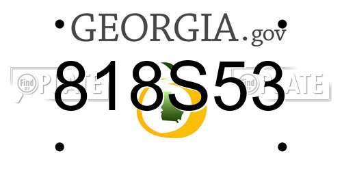 818S53 Georgia License Plate