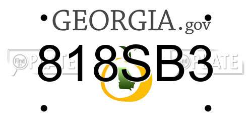 818SB3 Georgia License Plate