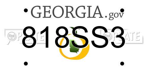 818SS3 Georgia License Plate