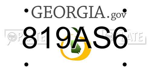 819AS6 Georgia License Plate