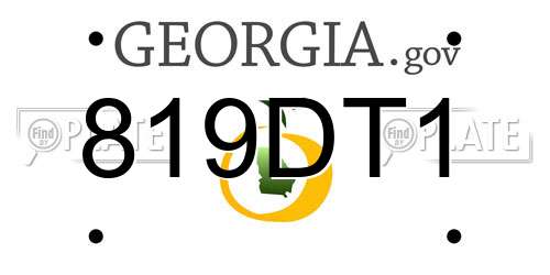 819DT1 Georgia License Plate
