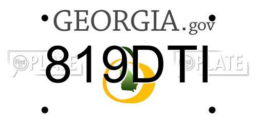 819DTI Georgia License Plate