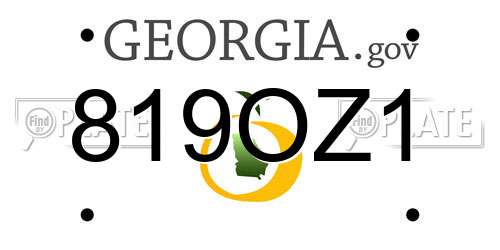 819OZ1 Georgia License Plate