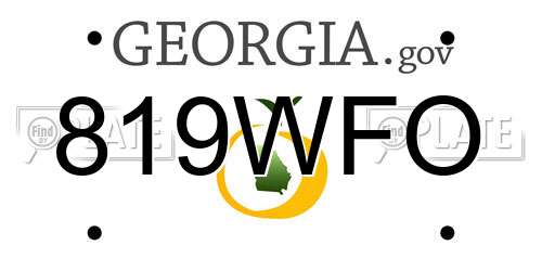819WFO Georgia License Plate