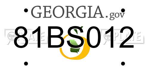 81BS012 Georgia License Plate