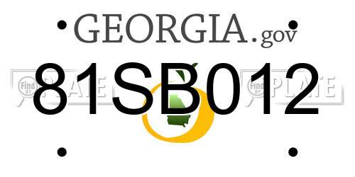 81SB012 Georgia License Plate