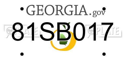 81SB017 Georgia License Plate