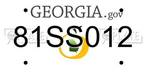81SS012 Georgia License Plate
