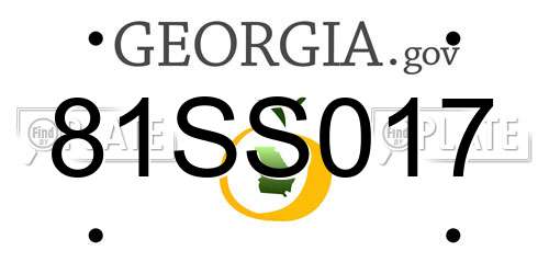 81SS017 Georgia License Plate