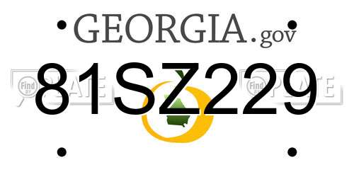 81SZ229 Georgia License Plate