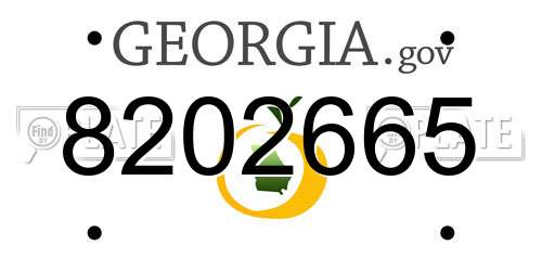 8202665 Georgia License Plate