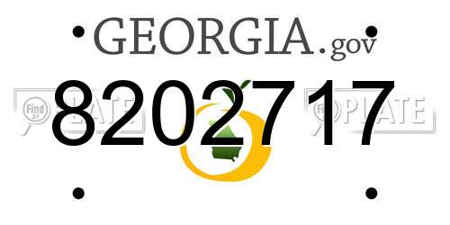 8202717 Georgia License Plate