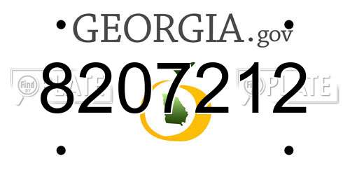 8207212 Georgia License Plate