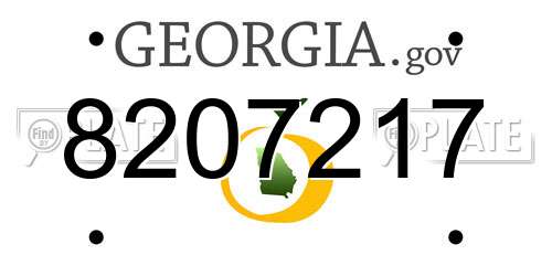 8207217 Georgia License Plate