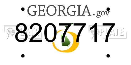 8207717 Georgia License Plate