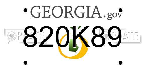820K89 Georgia License Plate