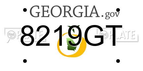 8219GT Georgia License Plate