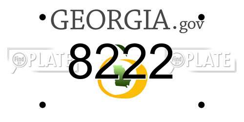 8222 Georgia License Plate